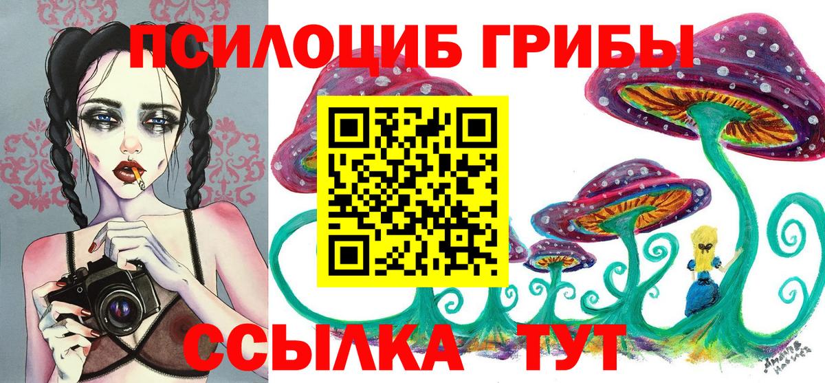 Алапаевск  Псилоцибиновые грибы MAGIC MUSHROOMS  Вход с VPN 